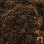 BIOCANNA Bio Terra Plus Erde