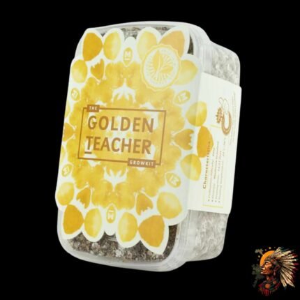 Golden Teacher Magic Mushroom Growkit