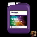 Plagron Green Sensation 5 L