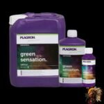 Plagron Green Sensation
