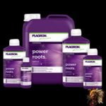Plagron Power Roots