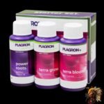 Plagron Starter Set 100% Terra