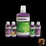 Plagron Top Grow Box Natural