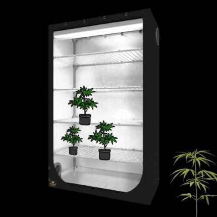 Secret Jardin Dark Propagator