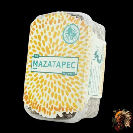 Mazatapec Magic Mushroom Growkit