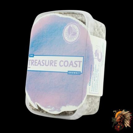 Treasure Coast Magic Mushrooms Growkit