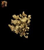 Hollandia Trüffel kaufen