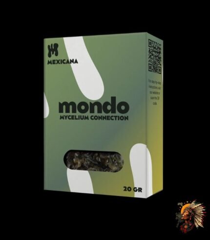 Magische Trüffel Mexicana