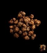 Micromex Magische Trüffel kaufen