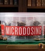 Pajaritos Trüffel kaufen