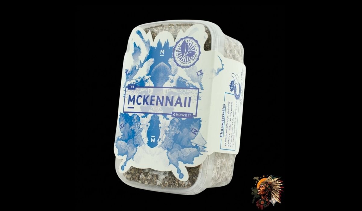 McKennaii Magic Mushroom Growkit kaufen – Die intensive Sorte 2 McKennaii Magic Mushroom Growkit Anbau zu Hause – fertige Zuchtbox