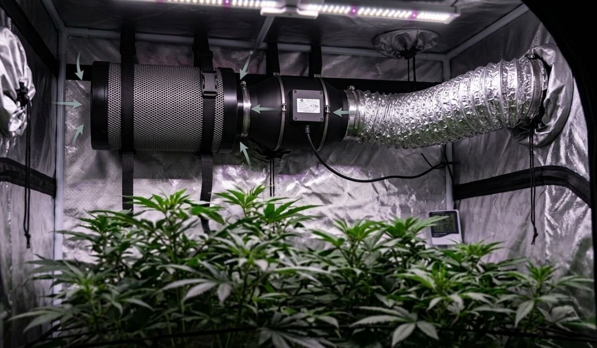Aktivkohlefilter Sortiment in verschiedenen Größen – von 100mm bis 250mm Anschluss für Growzelt Belüftung und Indoor Cannabis Anbau mit Lüftungsschlauch im Hintergrund