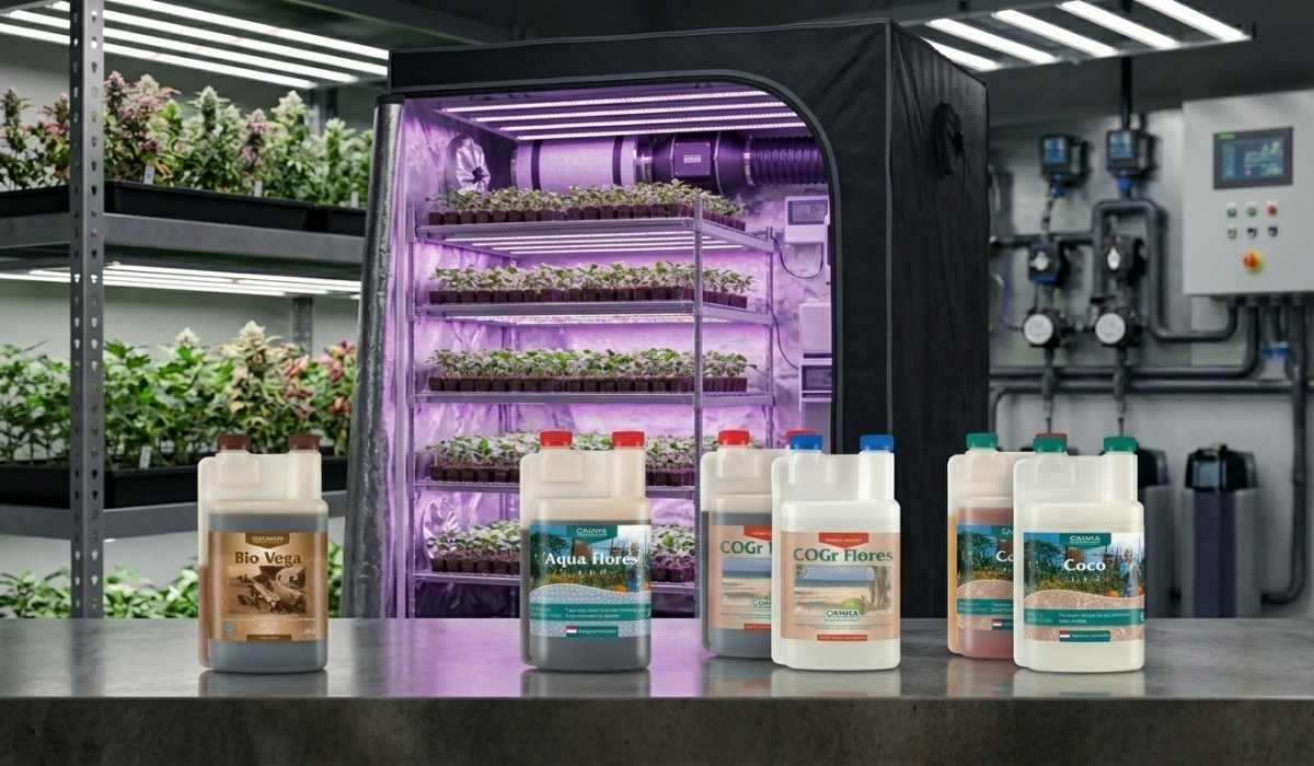Canna Dünger Set mit Bio Vega, Aqua Vega A und B sowie Bio Rhizotonic vor Growzelt mit LED-Beleuchtung und Cannabis-Anzucht für Indoor-Anbau Deutschland und Österreich