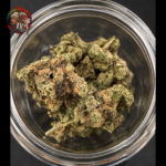 Blue Dream Feminisiert von Twins Garden Seeds – Herstellerbild 6