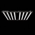 Lumen King 1000W LED ECO Line – Produktansicht